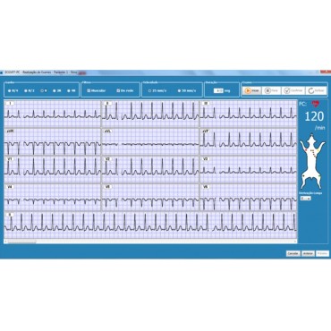 ELETROCARDIÓGRAFO COMPUTADORIZADO ECGVET-PC SISO